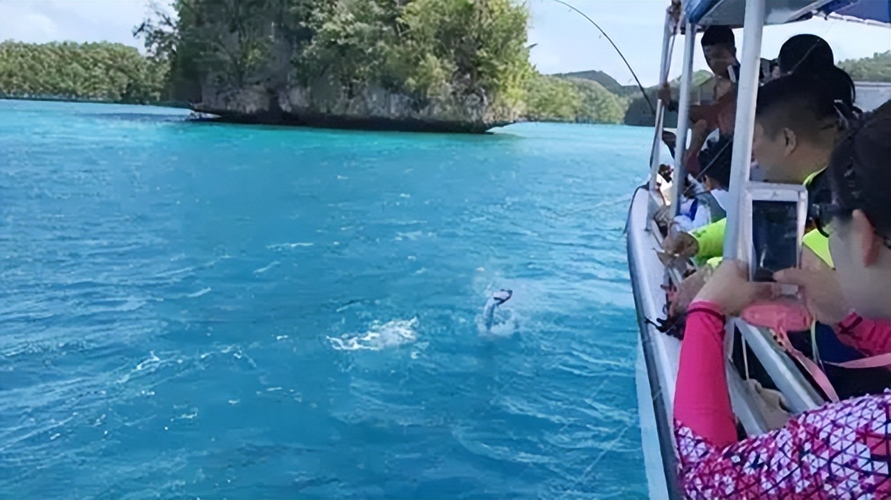 帕劳建交可能性,帕劳与中国建交了吗