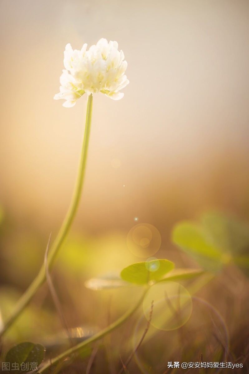 40岁天天失眠怎么办,我爸五十多岁天天失眠