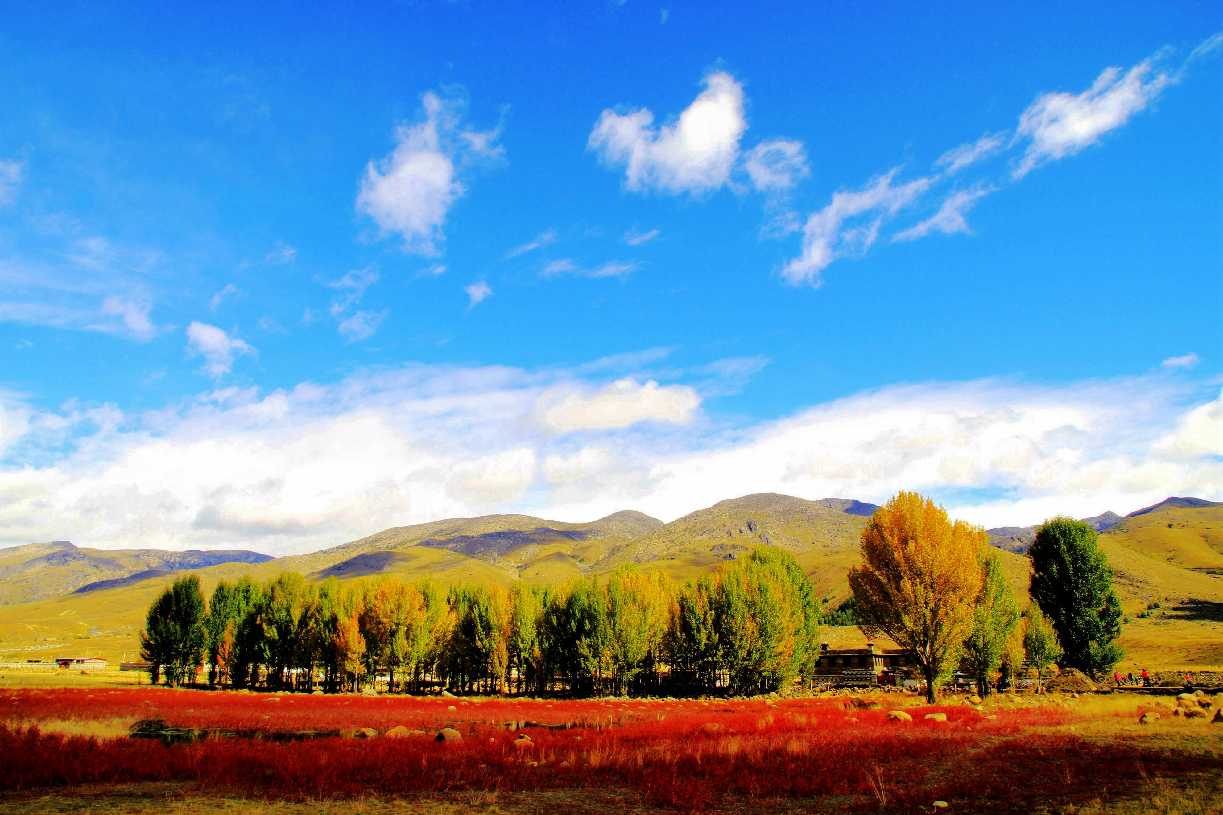 含有秋的诗句飞花令全集,飞花令古诗带有秋的诗句