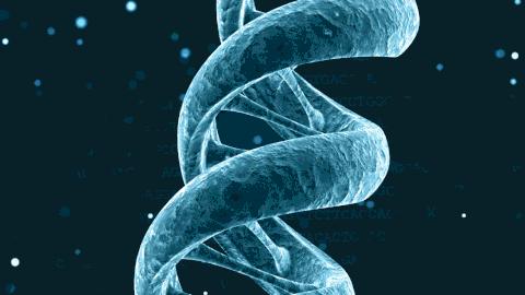 *亲近**繁殖危害很大！这是来自基因的“诅咒”，无法破解