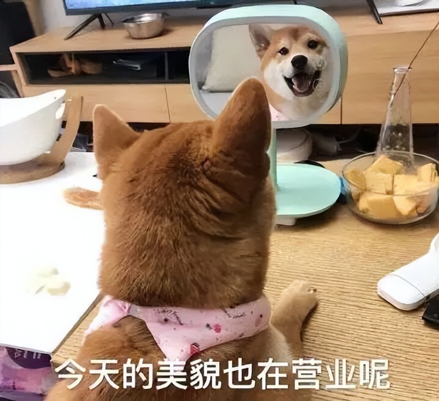 你的脸为什么总是洗不干净,总感觉自己的脸洗不干净怎么办