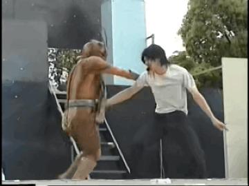 假面骑士一共有多少个帅哥,日本帅哥假面骑士