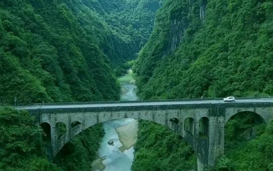 培根铸魂立德树人征文,培根铸魂立德树人教师征文