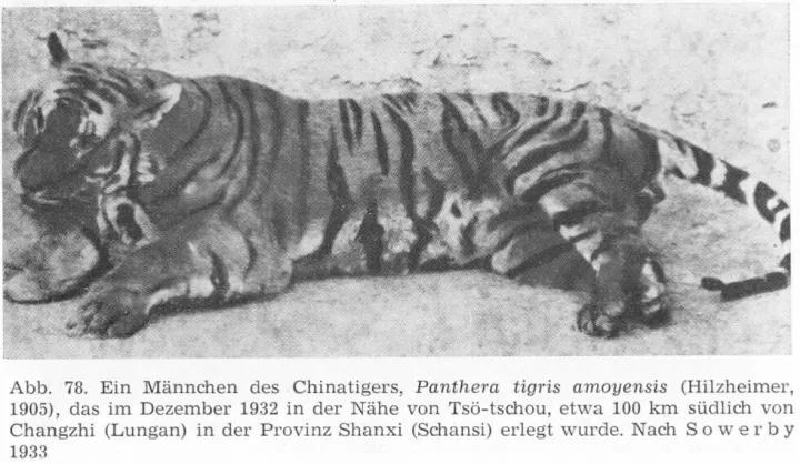 世界上濒临消失的物种有哪些,中国消失的十大物种