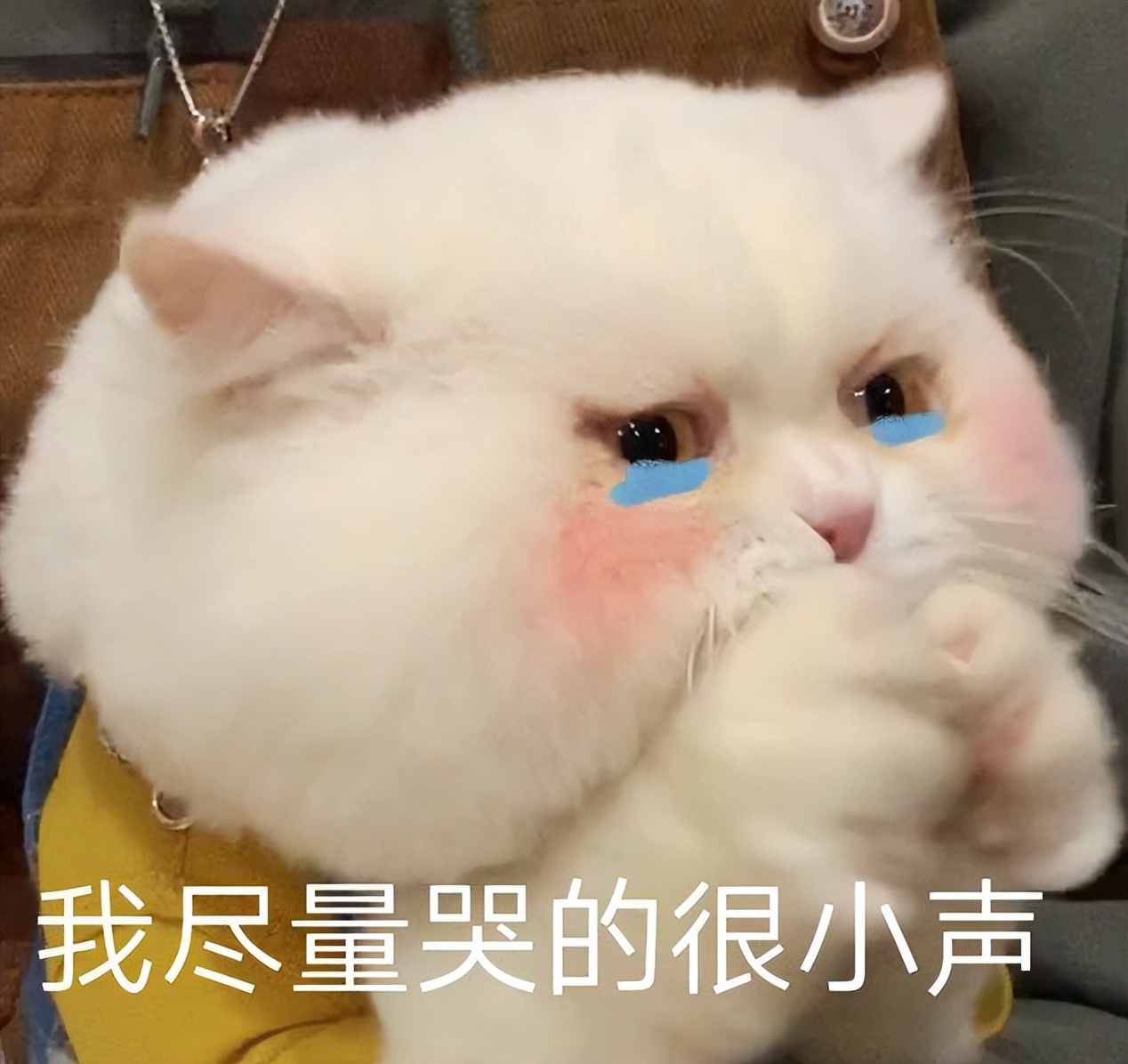 演唱会几十万票,演唱会百万门票