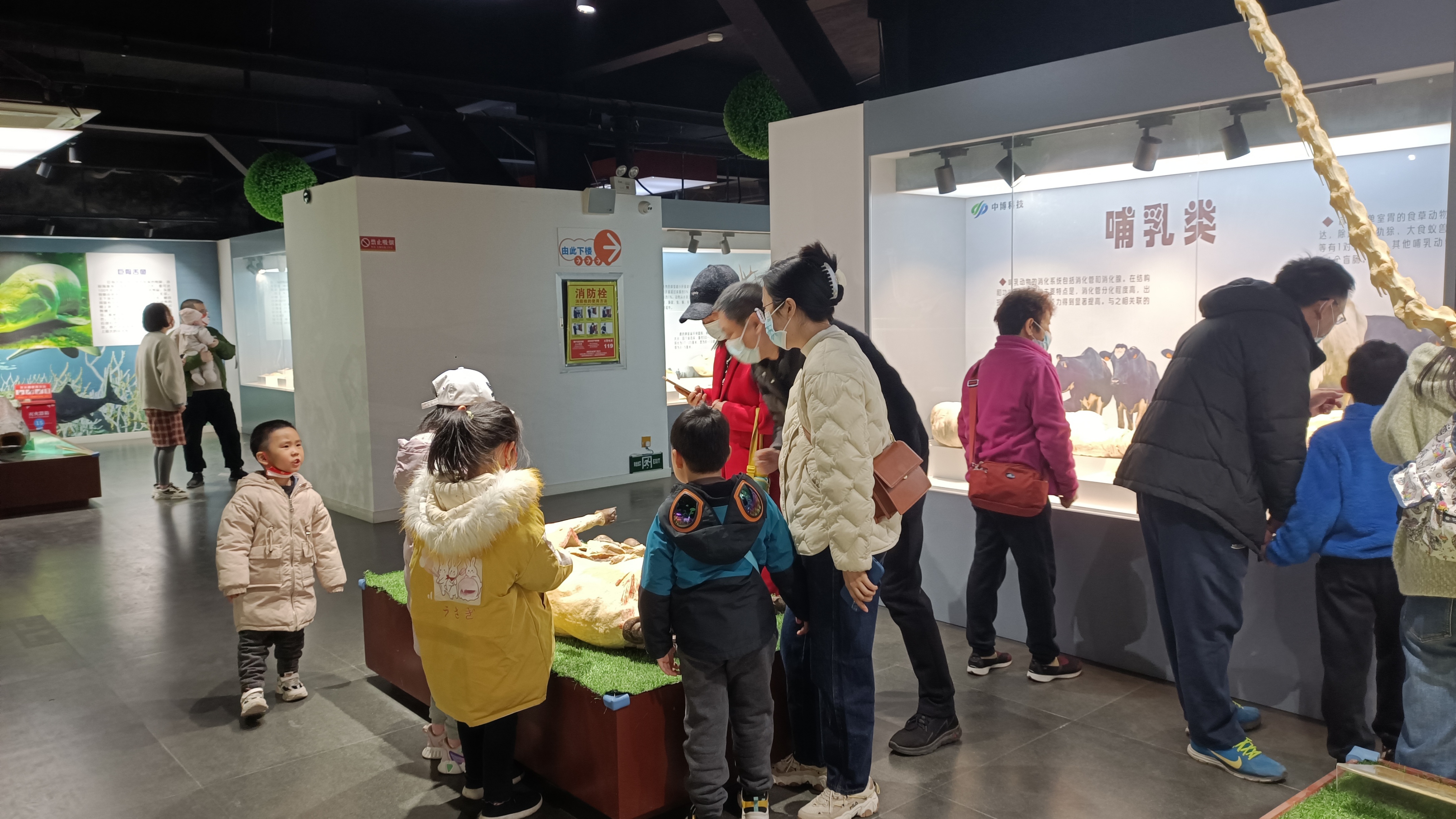 郑州东南方向遛娃好去处秋天,郑州遛娃两天一夜游的绝佳去处