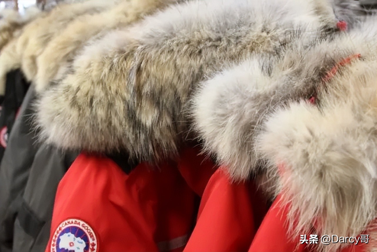 加拿大鹅北面迪桑特，比窦娥还怨，真正坑国人的是假冒伪劣厂家