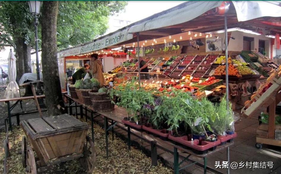 有机农场怎么做,有机农场怎么打造