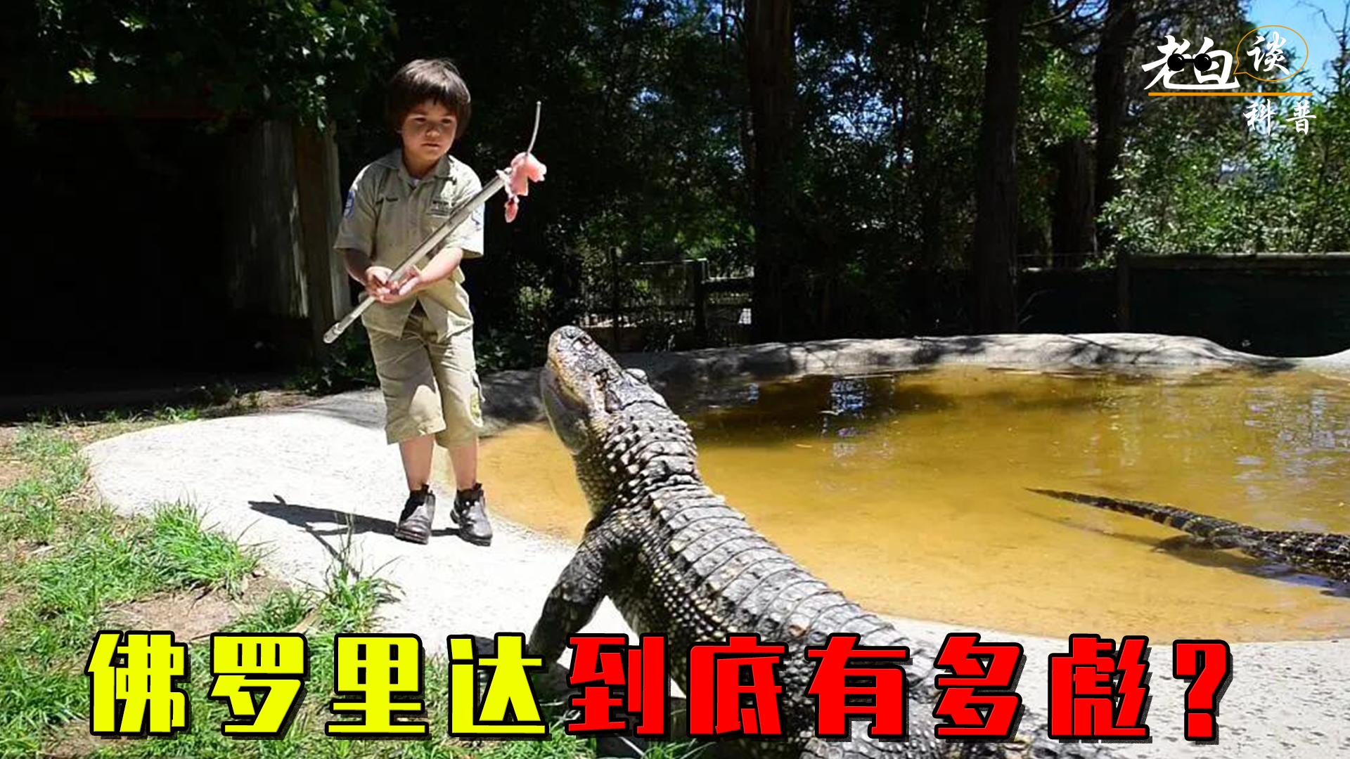 听过佛罗里达扭曲树精的故事吗,佛罗里达扭曲树精后续