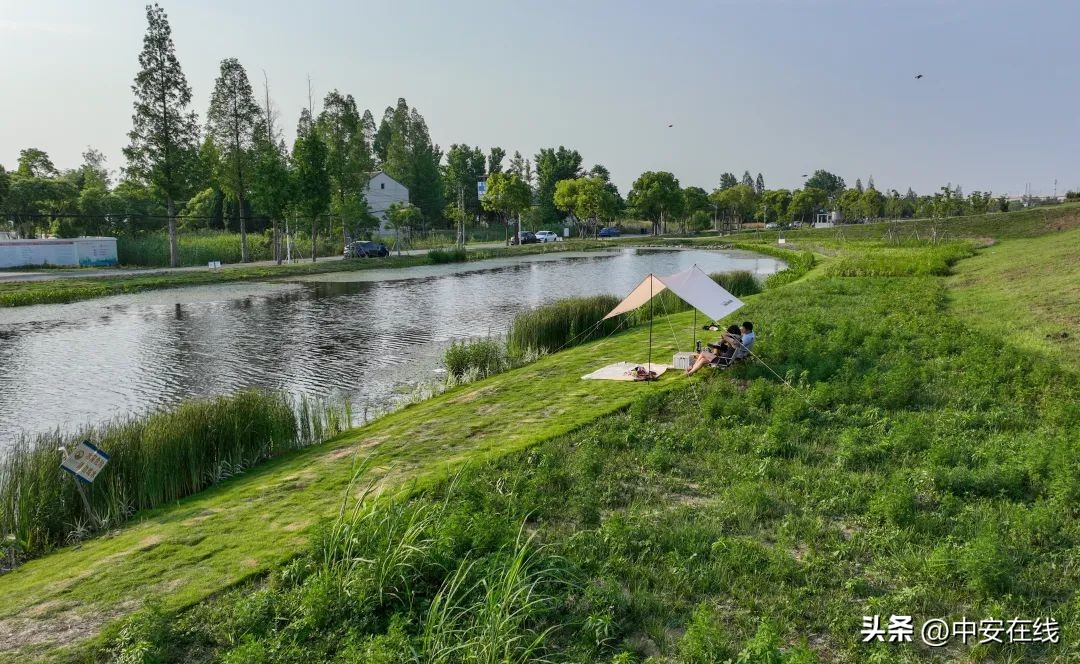 合肥游玩打卡圣地,合肥最美打卡地点推荐