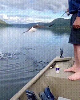 “姑娘，你知道衣服上的字是什么意思吗？”哈哈哈自信的姑娘最美