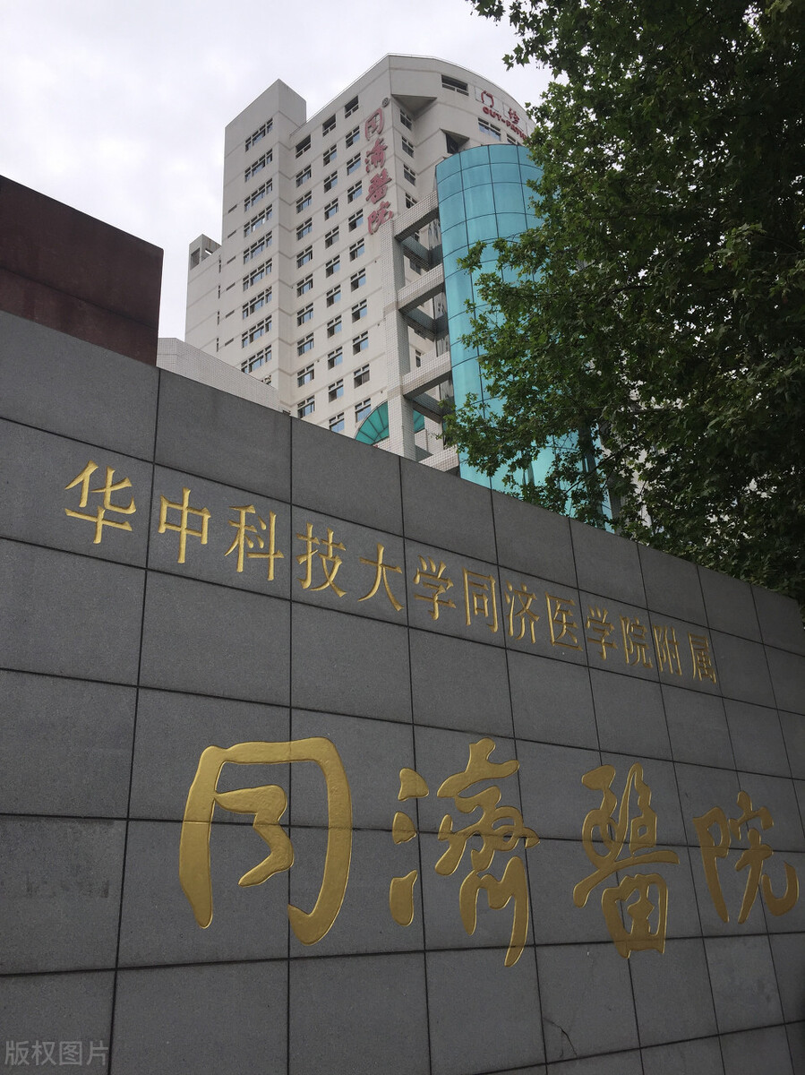 同济医学院回归同济大学,同济大学医学院逐渐被大家认可