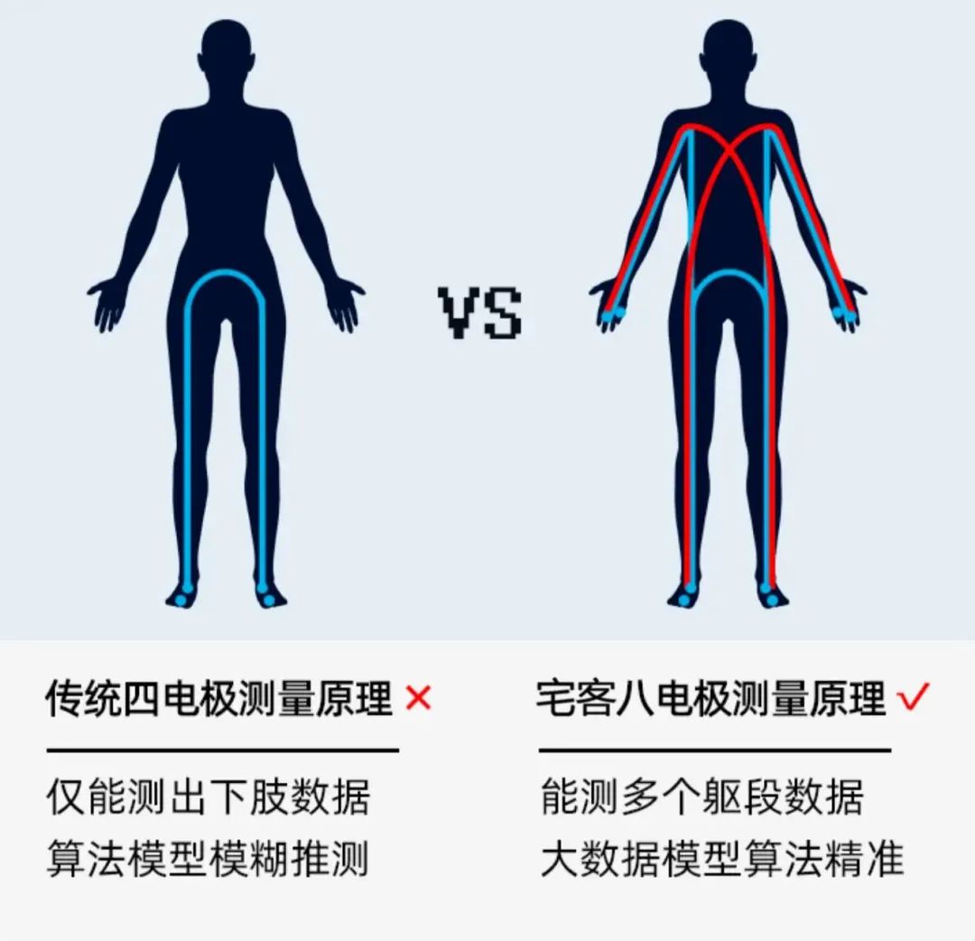 体测仪数据怎么看体脂率,体测表怎么看数据