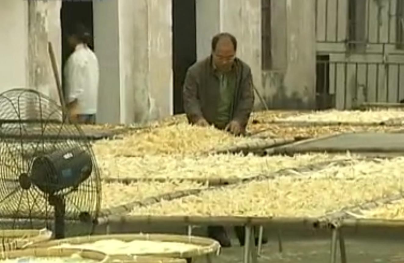 中国“鲨鱼村”的聪明商人：加工迷你“小鲨鱼”，年入3000万