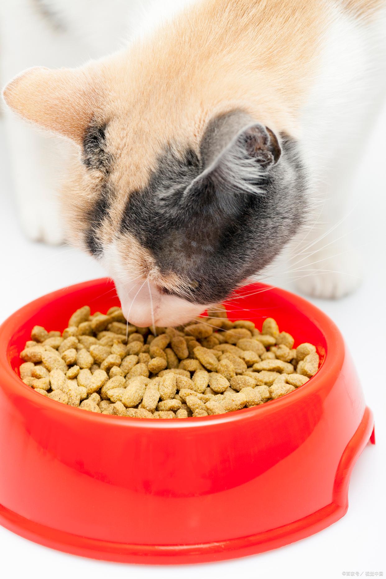 猫咪在床上拉屎怎么办,猫咪几天没拉大便是什么原因