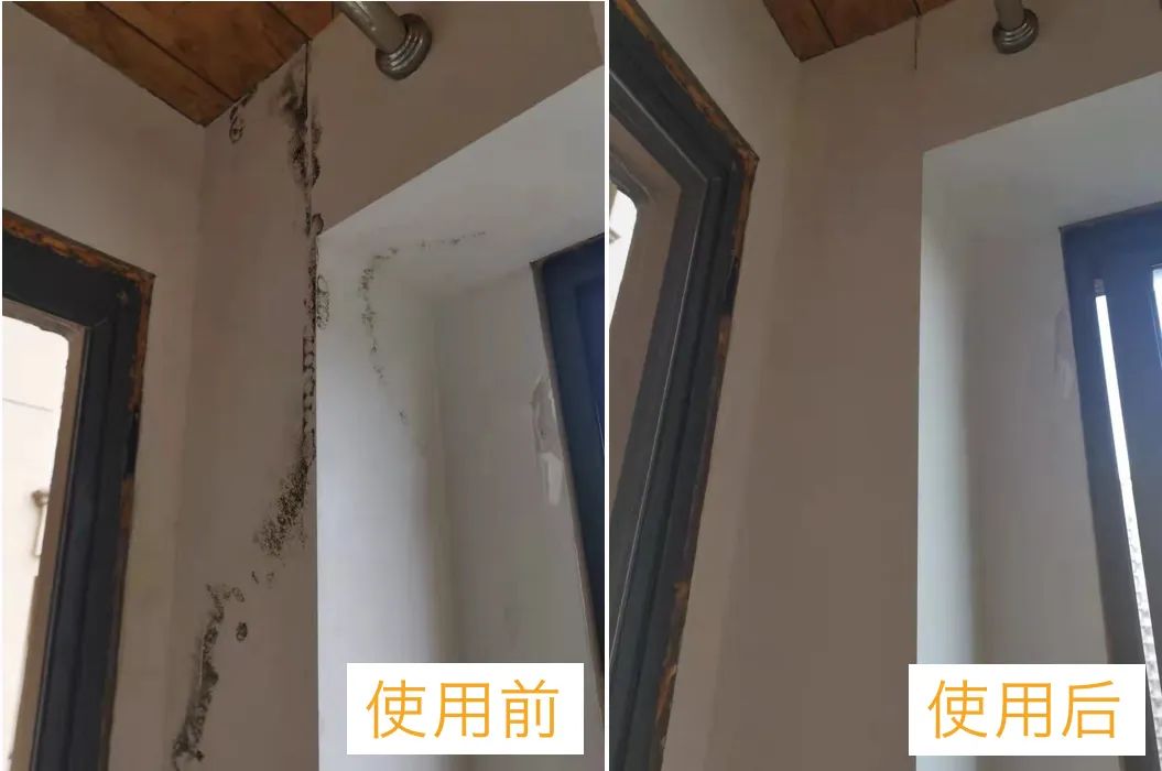 屋里潮湿起霉斑怎么去除,潮湿发霉怎么快速消除霉点