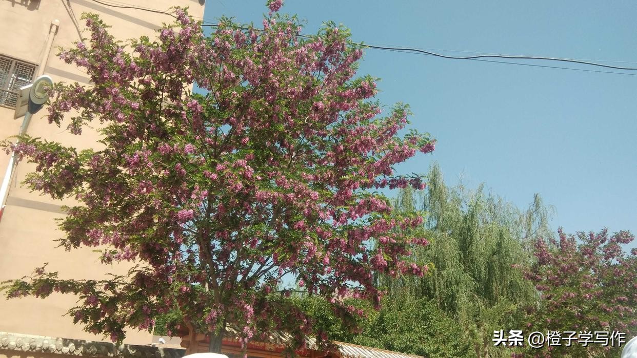 养生方面学哪些最赚钱,养生最赚钱的项目是什么