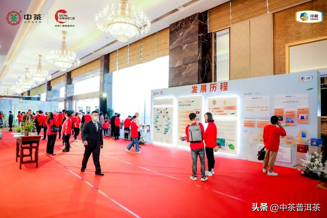 中茶普洱茶经销商信息大会,中茶2024年经销商大会