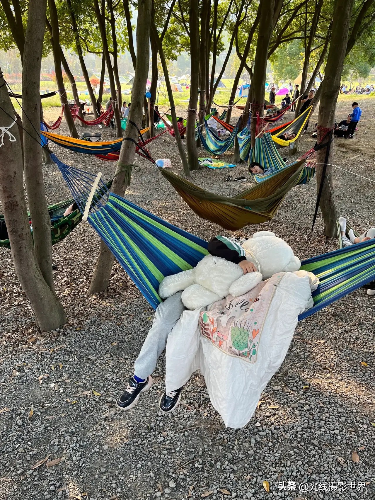 花博园露营详细攻略,重庆森林露营地推荐