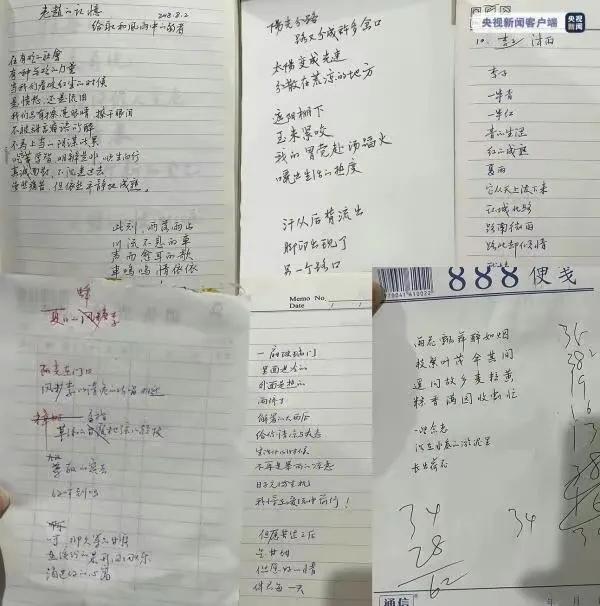 写诗写上了央视的水果诗人，其诗歌水平到底怎么样？