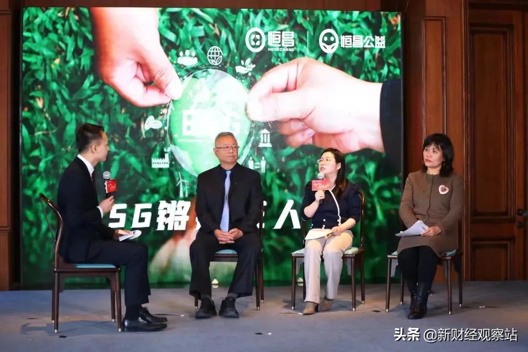 可持续发展愿景,可持续发展努力