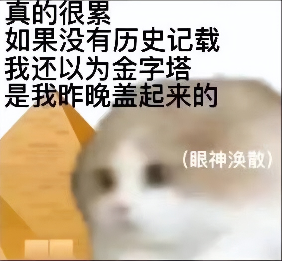 蹭ip电影东北,蹭ip的小视频