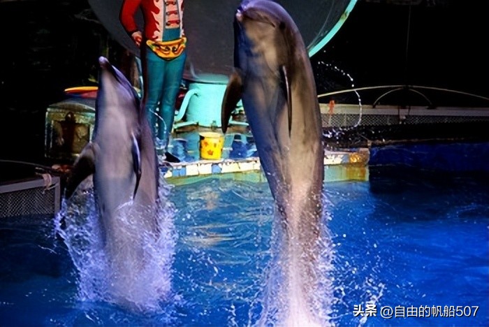 辽宁省大连市沙河口区简介,辽宁省大连市沙河口区春柳