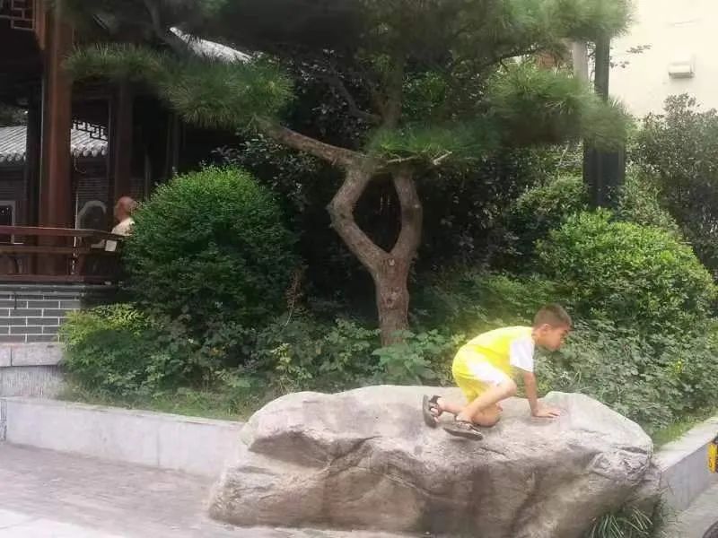 谢先莹、马士龙：大学门口为什么大都放块巨石