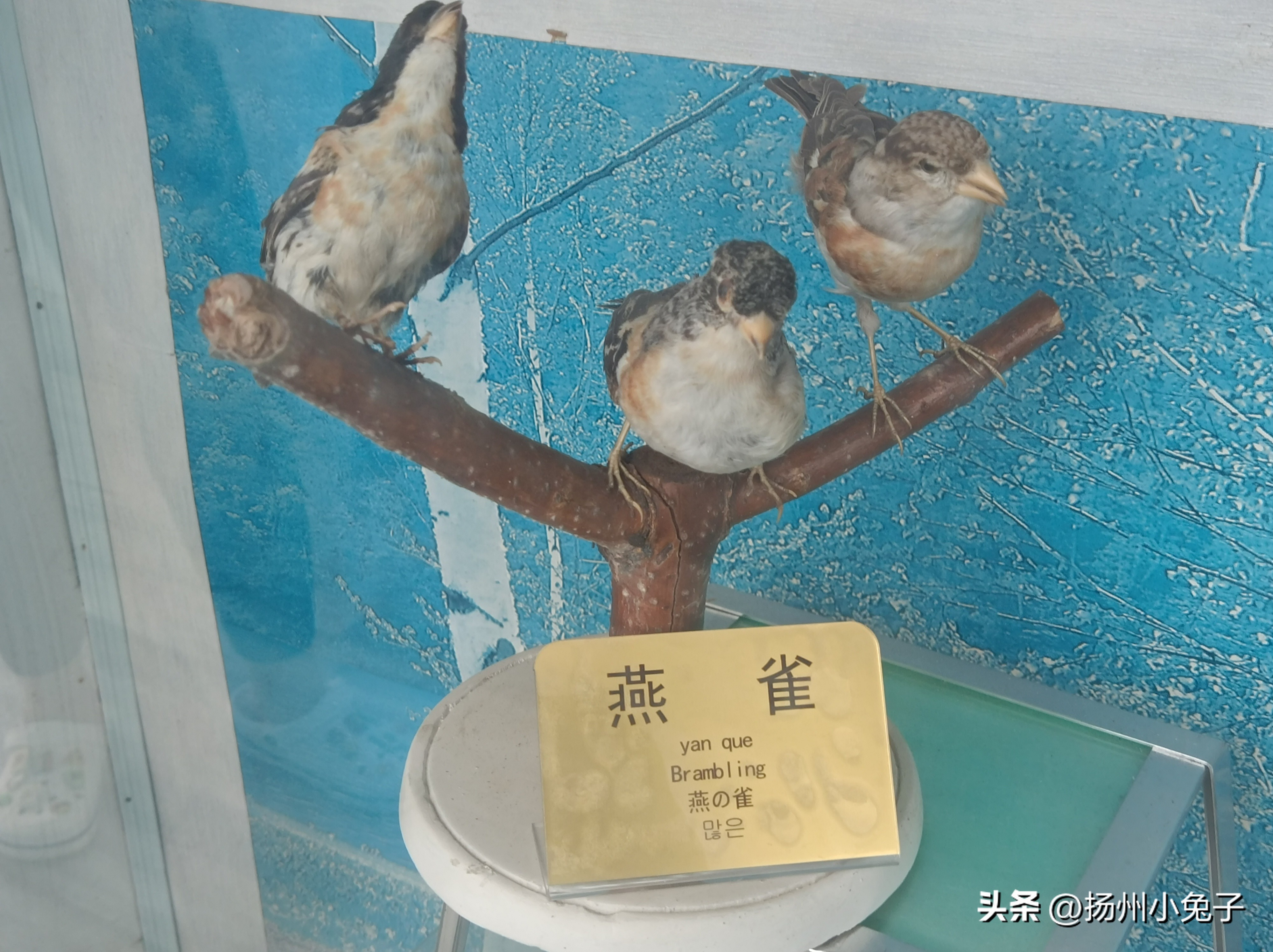 峰山林海打卡景点,打卡森林公园热带雨林