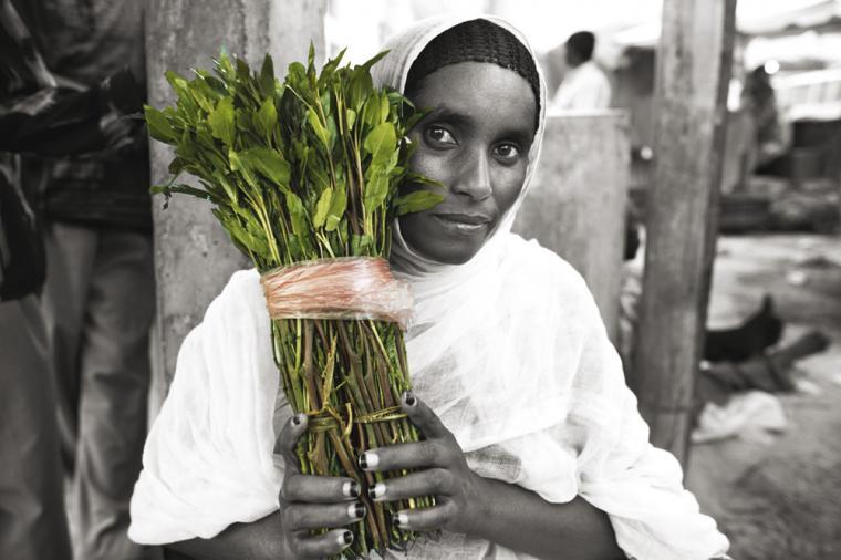 槟榔成瘾的国家,沉迷槟榔应该怎么戒呢