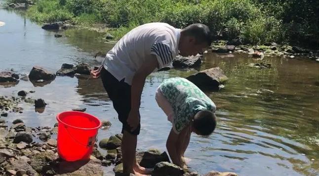 壁虎与蛇是什么关系,壁虎和蛇属于什么关系