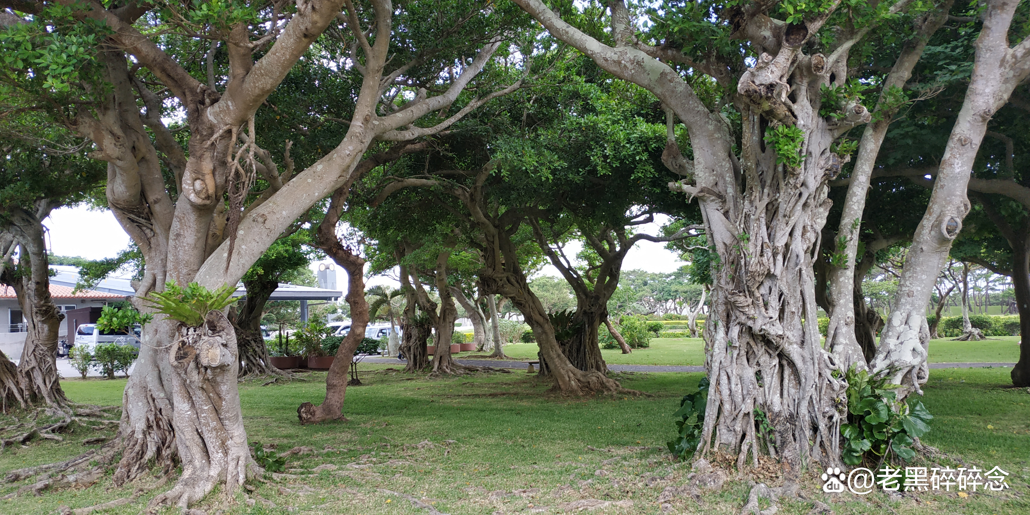 冲绳旅游租车,日本冲绳租车