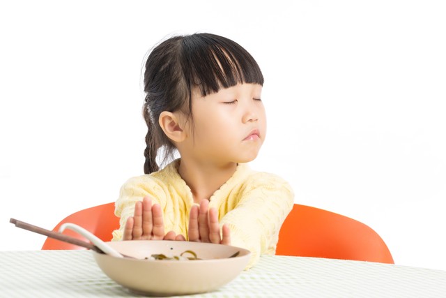 如何纠正孩子挑食厌食的毛病,拉布拉多挑食厌食有什么办法纠正