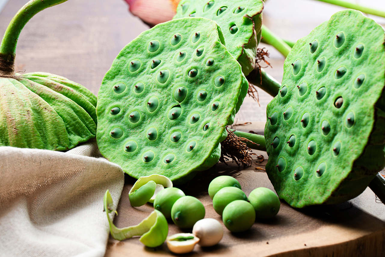 鲜莲子怎么保存,鲜莲子冷冻保存多久