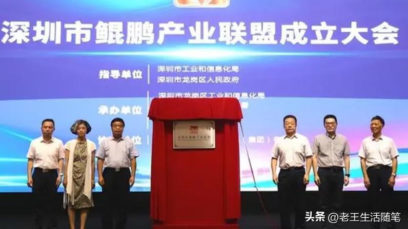 深圳一副区长回应染白发,深圳女副区长一缕白发引热议