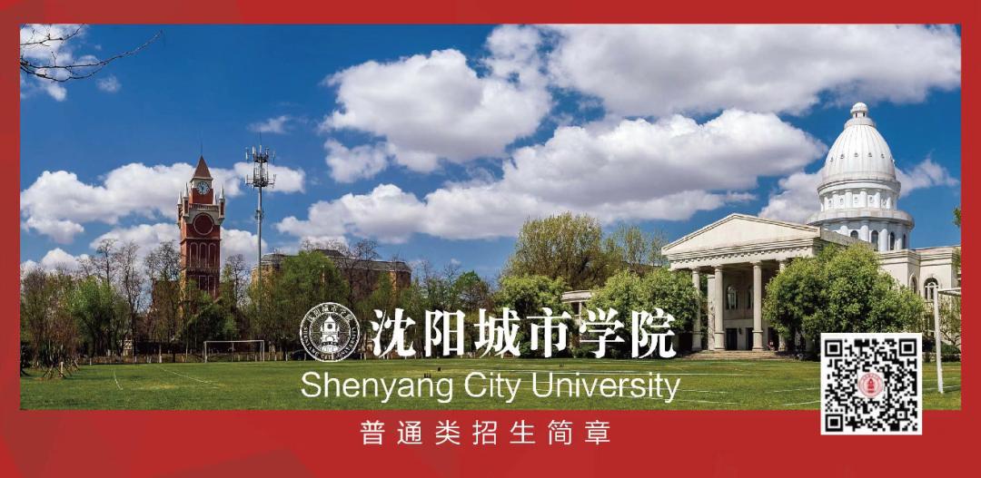 沈阳城市学院报考条件,沈阳城市学院2024年招生简章