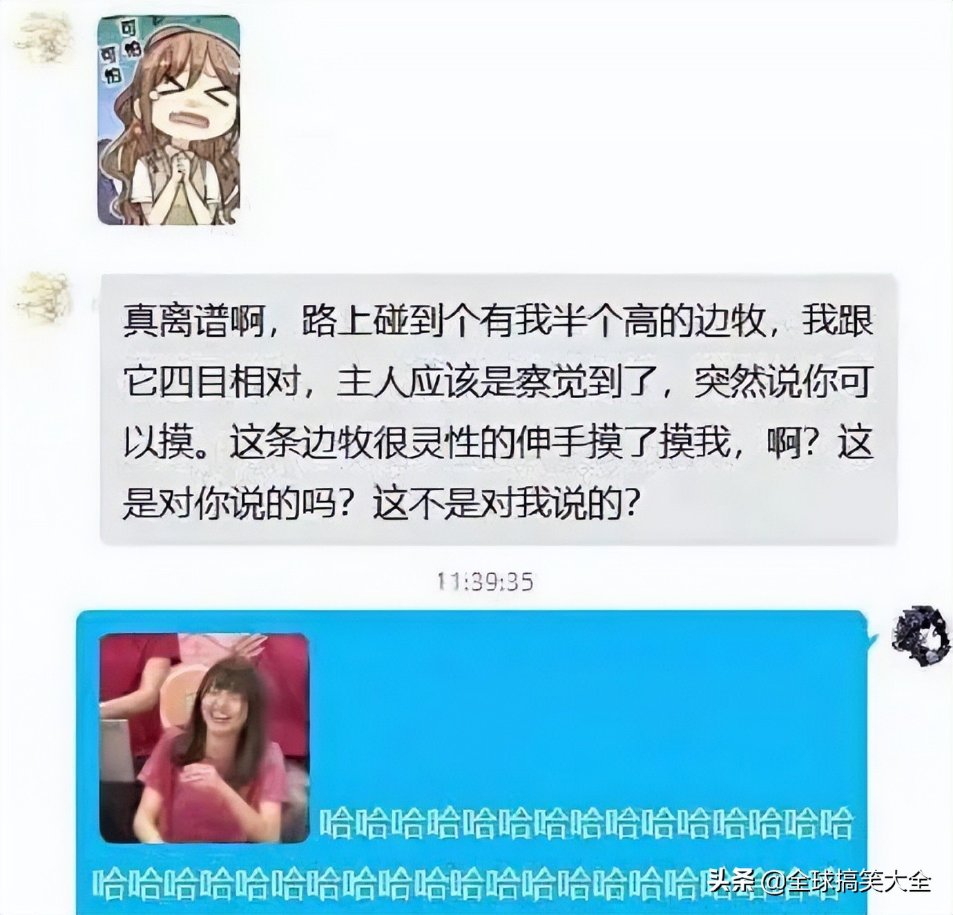 02年的老阿姨神回复,阿姨级别神回复