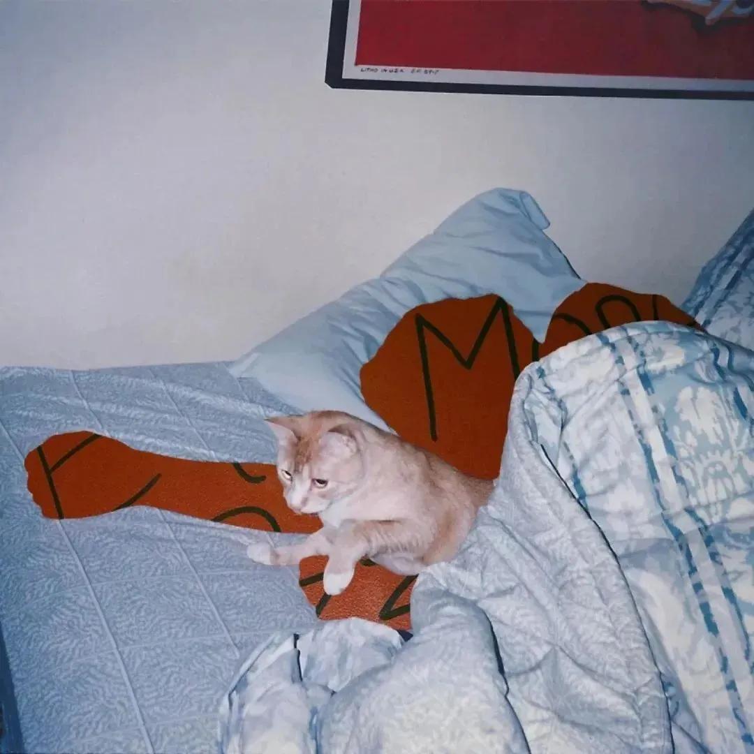 微信背景图文艺小众,小众背景图高清全屏