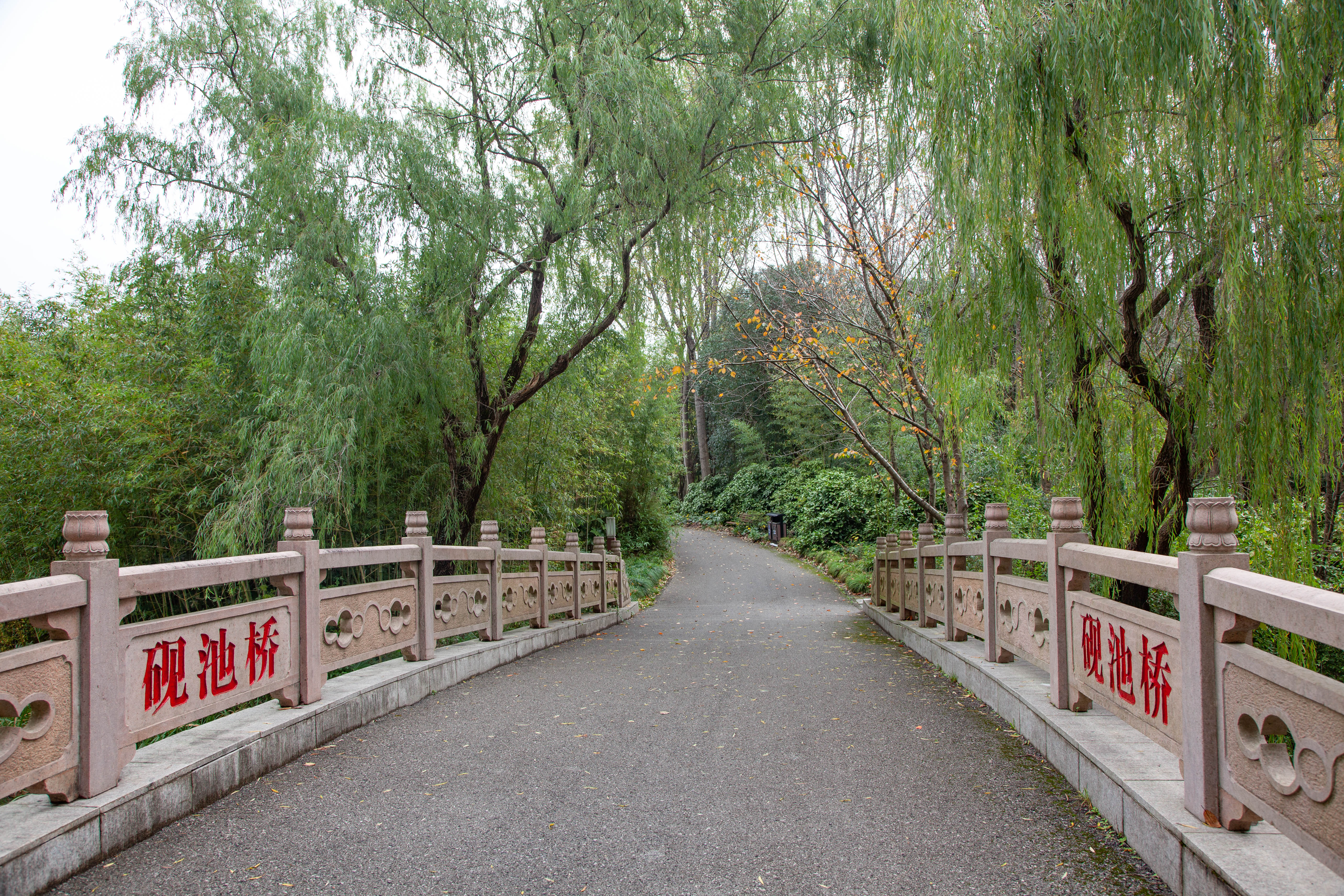 宝山顾村历史,上海宝山顾村老街