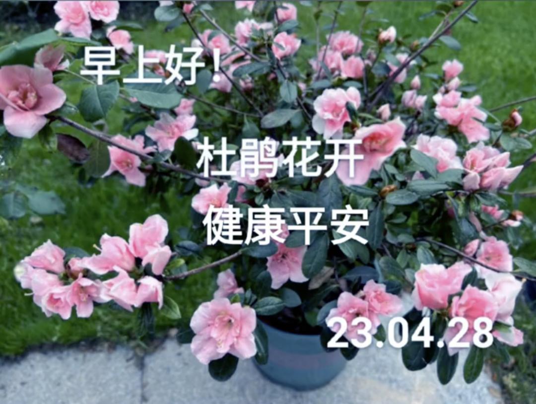 86岁“清醒奶奶”，在线安排身后事