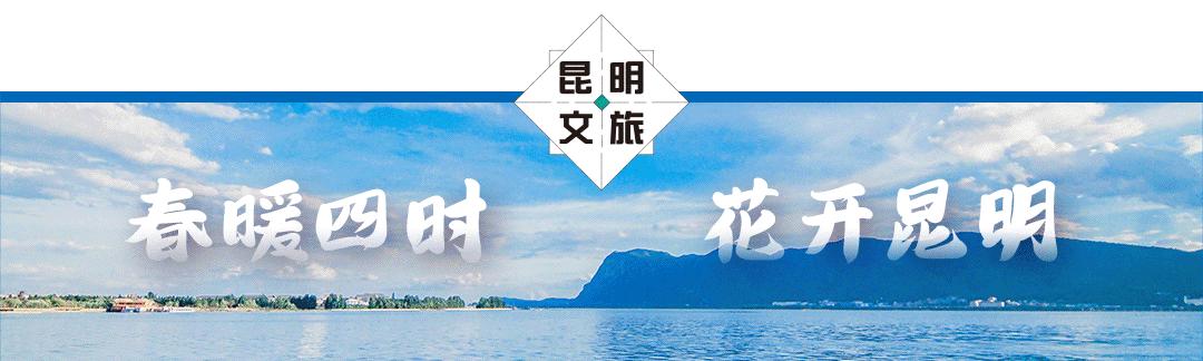 昆明旅游攻略有哪些景点可以玩,昆明有哪些文旅城景区好玩