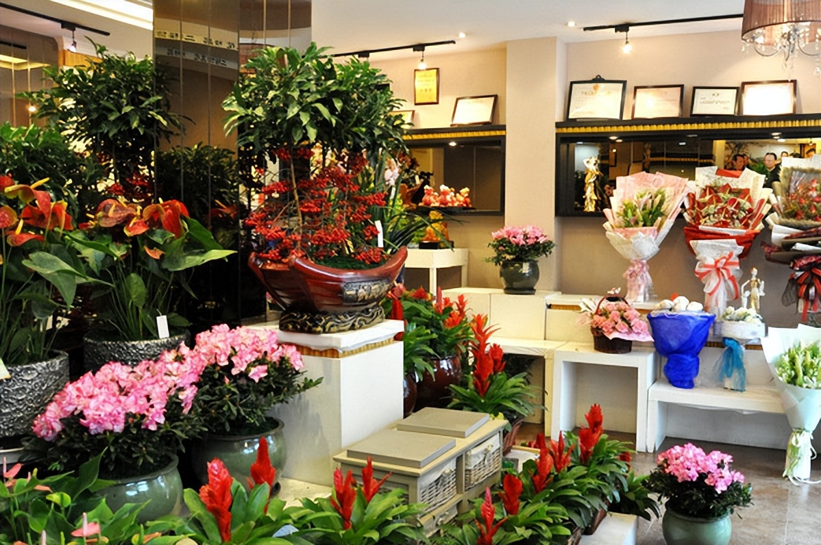 2023加盟店最火爆项目排行榜,2023年最赚钱加盟店