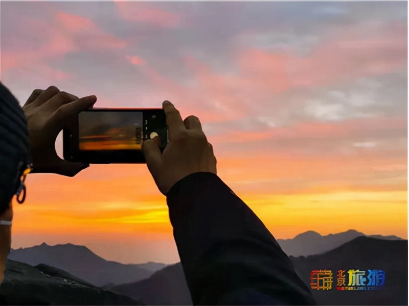 元旦福利礼物,元旦节送福利