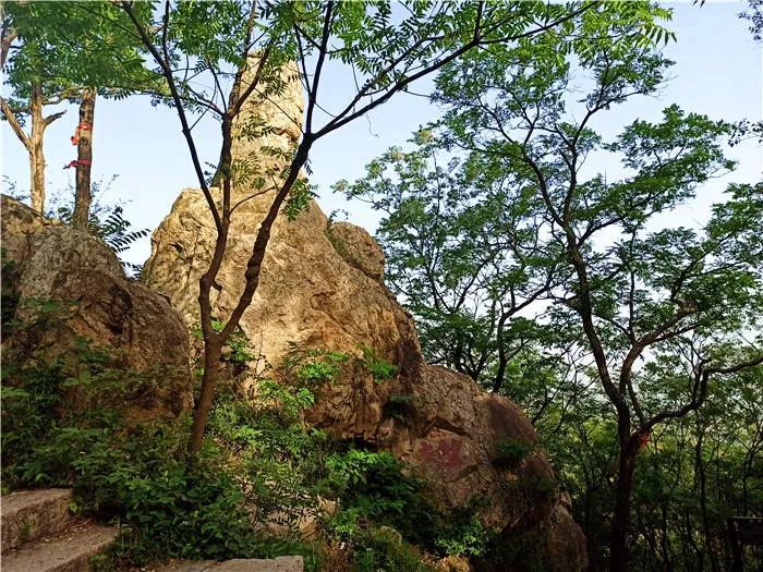 安徽蚌埠搬迁规划,安徽蚌埠狗咬人事件最新结果