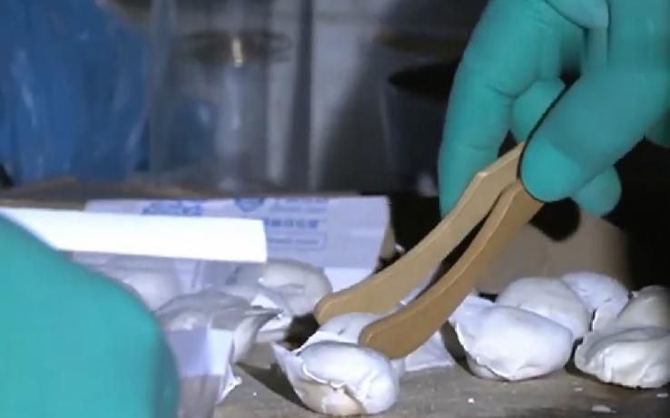 一家三口吃馄饨丧命,天津一家四口吃饺子死亡