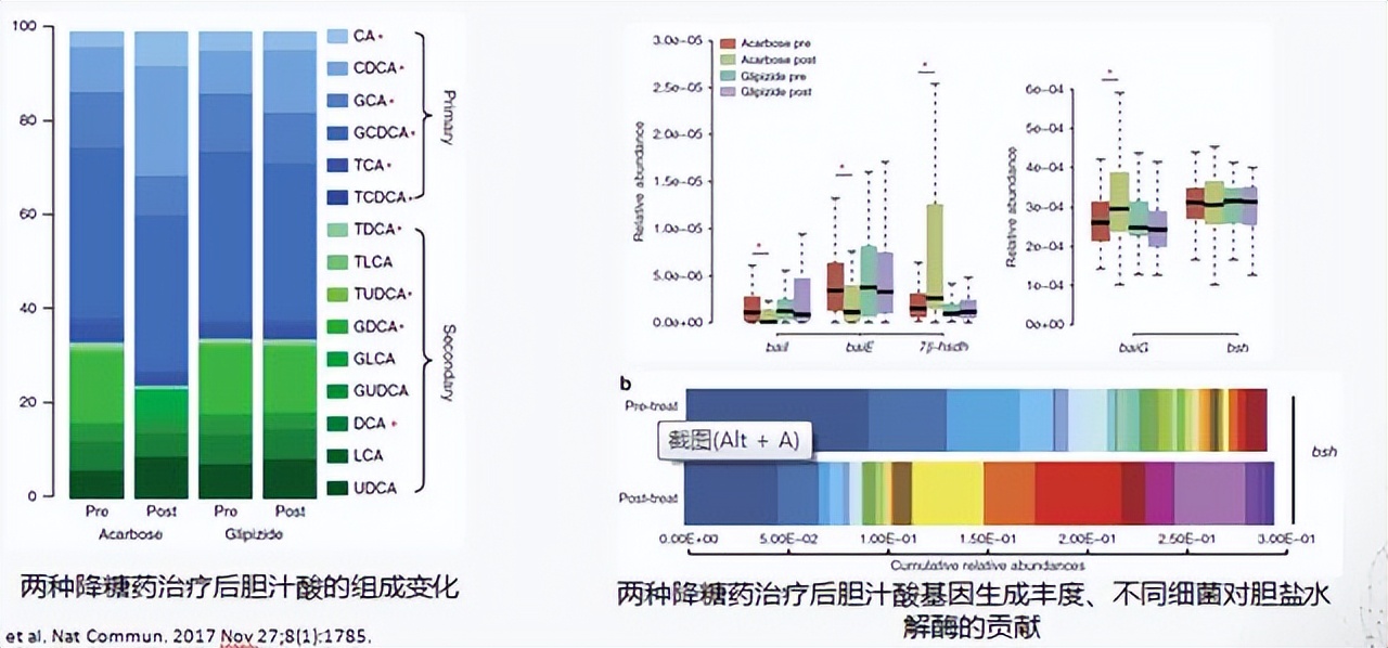 肠道菌群对糖尿病的影响,肠道有益菌对糖尿病的影响
