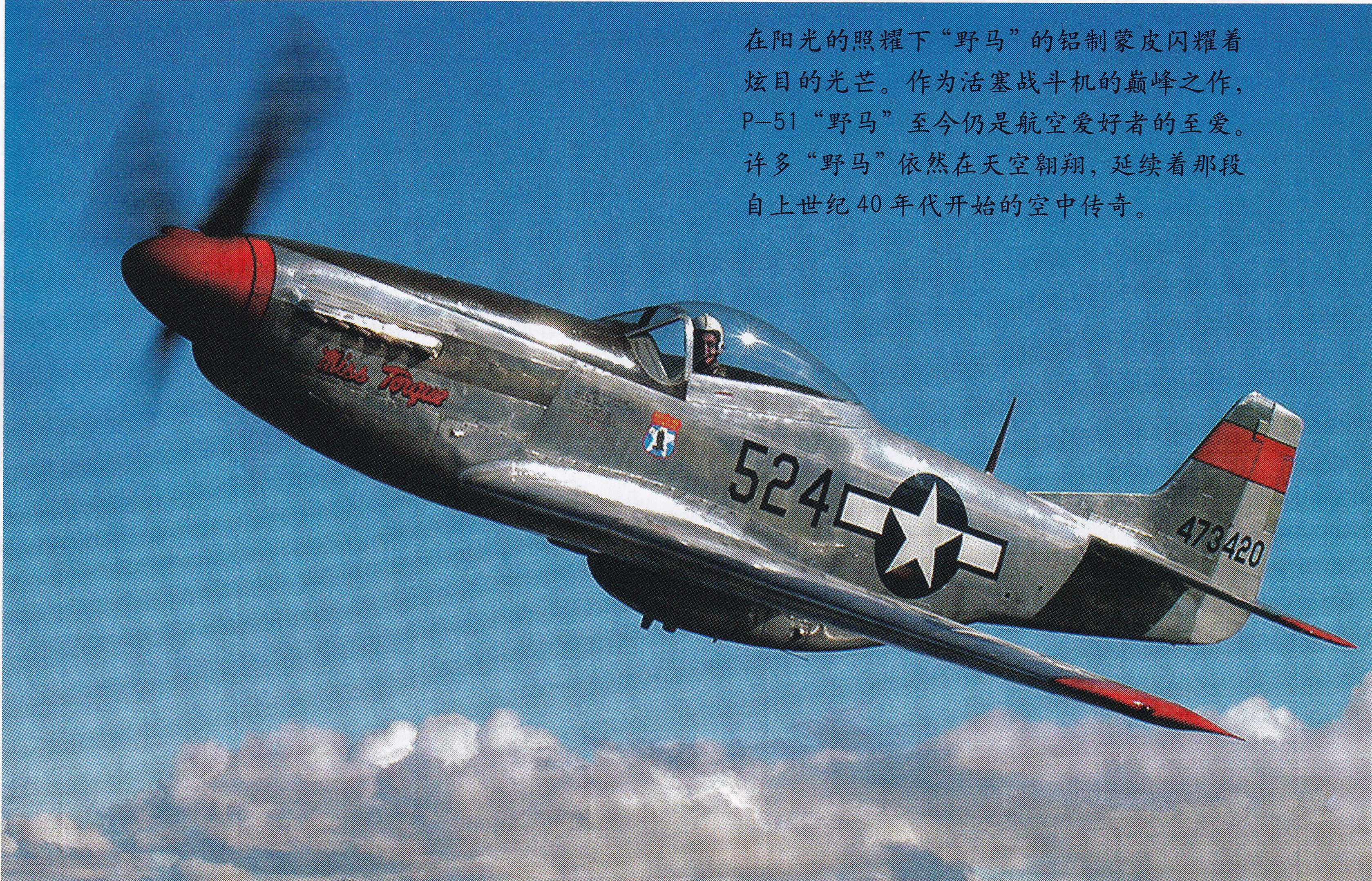 p61野马战斗机的各种型号,升级版p51野马战斗机