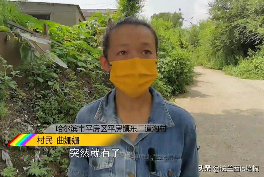 头皮发麻！哈尔滨一村子一夜之间，有毒黑虫爬满街道，咬人咋办？