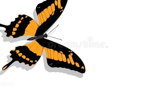 看书小窍门100个,看书小技巧