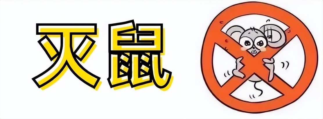 夏季消灭蚊虫的好方法,怎么消灭室内四害